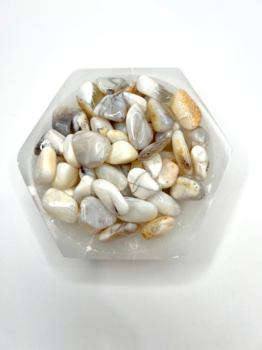Opal // White // Tumbled - SolRising The Rock Shop