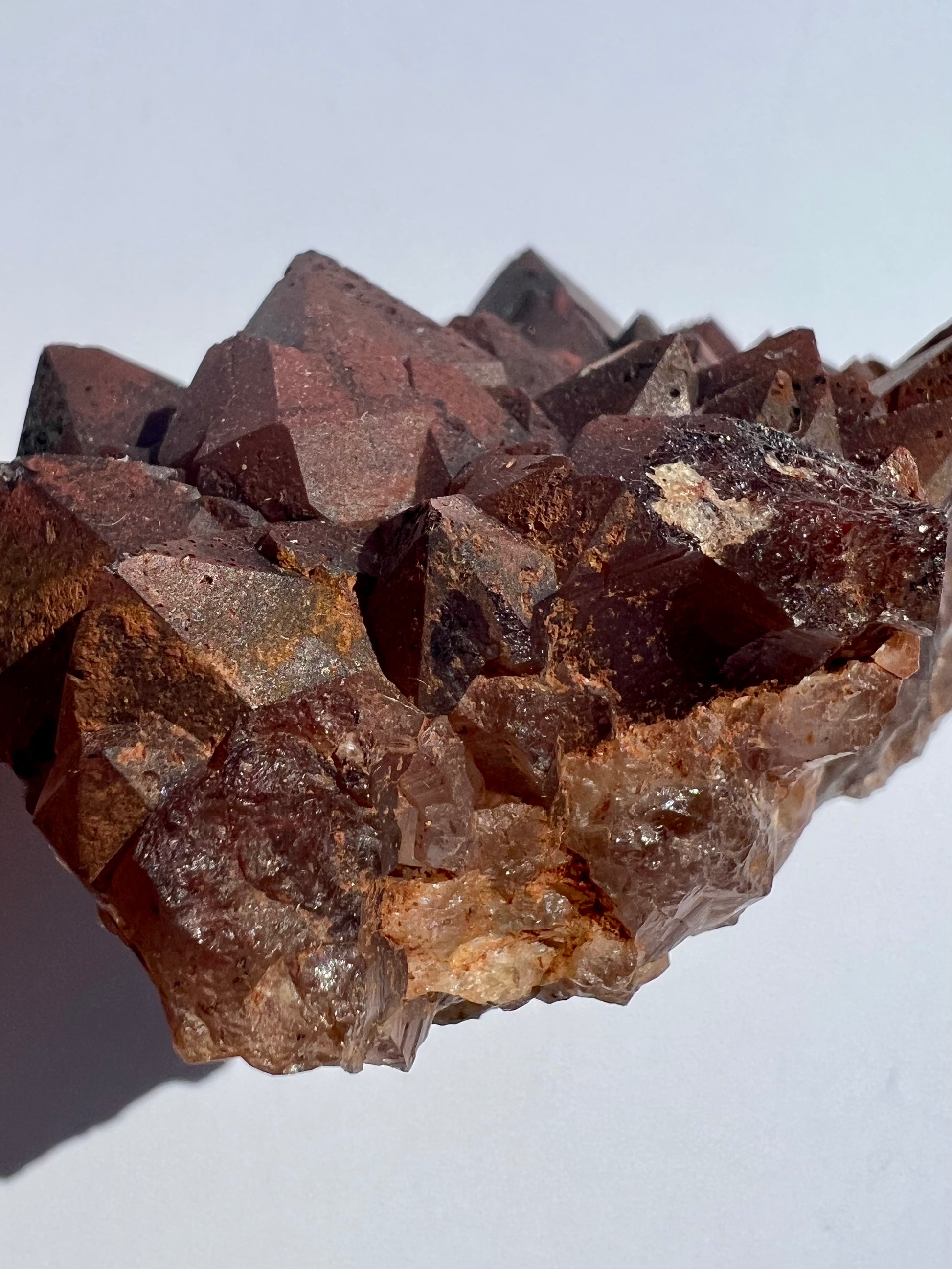 Red Cap // Amethyst // Cluster - SolRising The Rock Shop