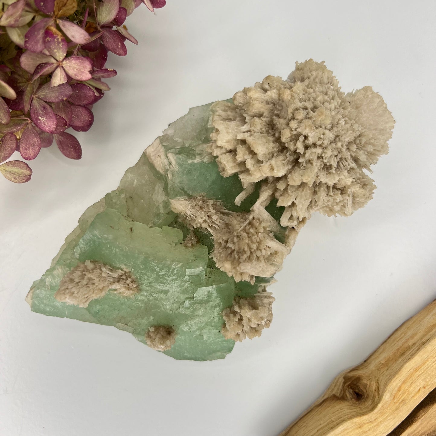 Zeolite // Apophyllite // Green // Natural Mineral