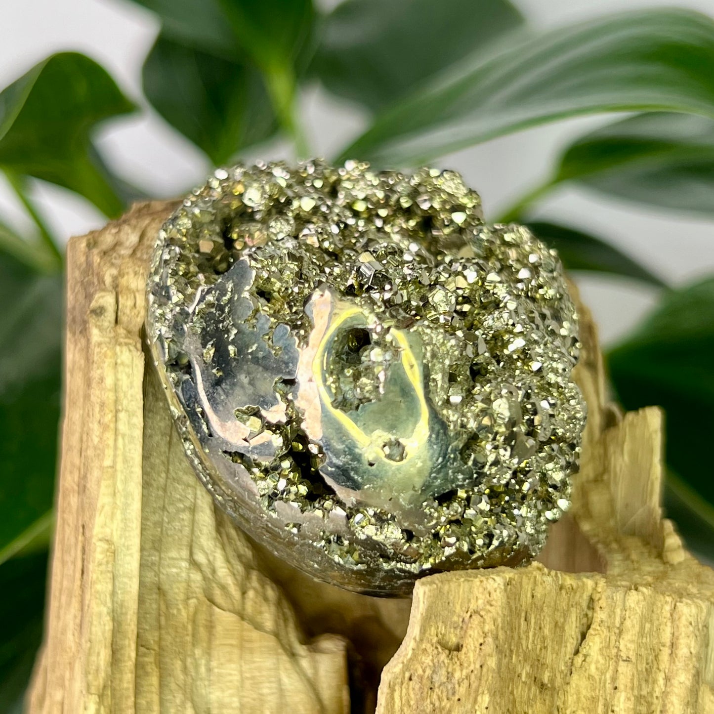 Pyrite // Egg