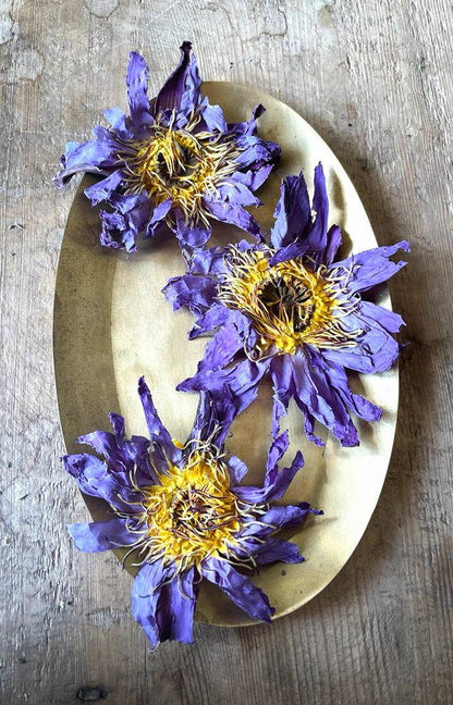 WHOLE BLUE FLOWERS | Blossoms of Intuition* - SolRising The Rock Shop