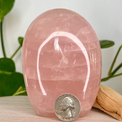 Rose Quartz // Free Form