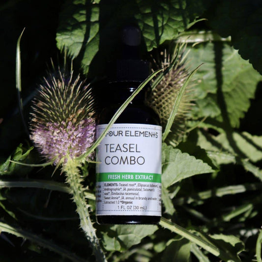 Teasel Combo Tincture Blend - 1 oz