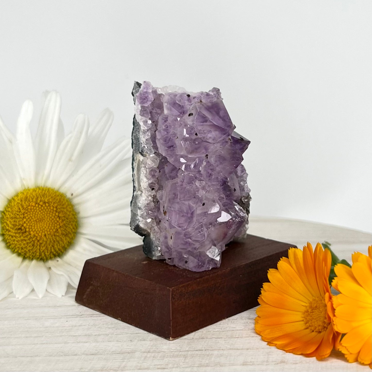 Amethyst // Cluster // Wood Base