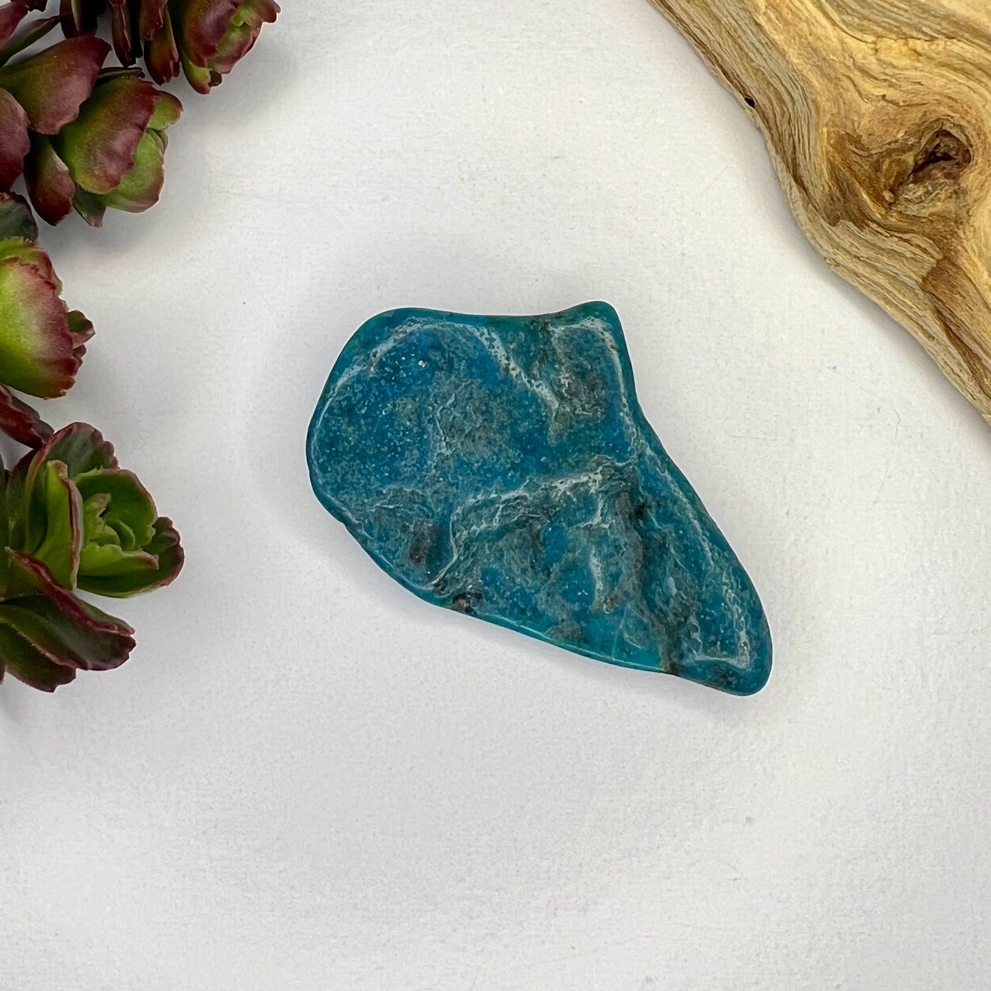 Turquoise // Polished Piece