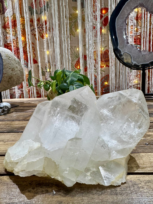 Tibetan Clear Quartz - SolRising The Rock Shop