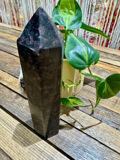 Garnet in Tourmaline // Tower