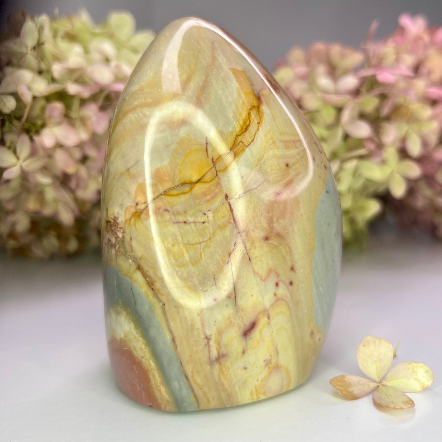 Jasper // Polychrome // Free Form