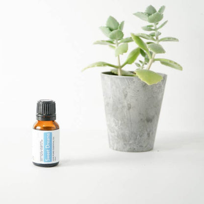 Sweet Dreams Essential Oil Blend 15ml