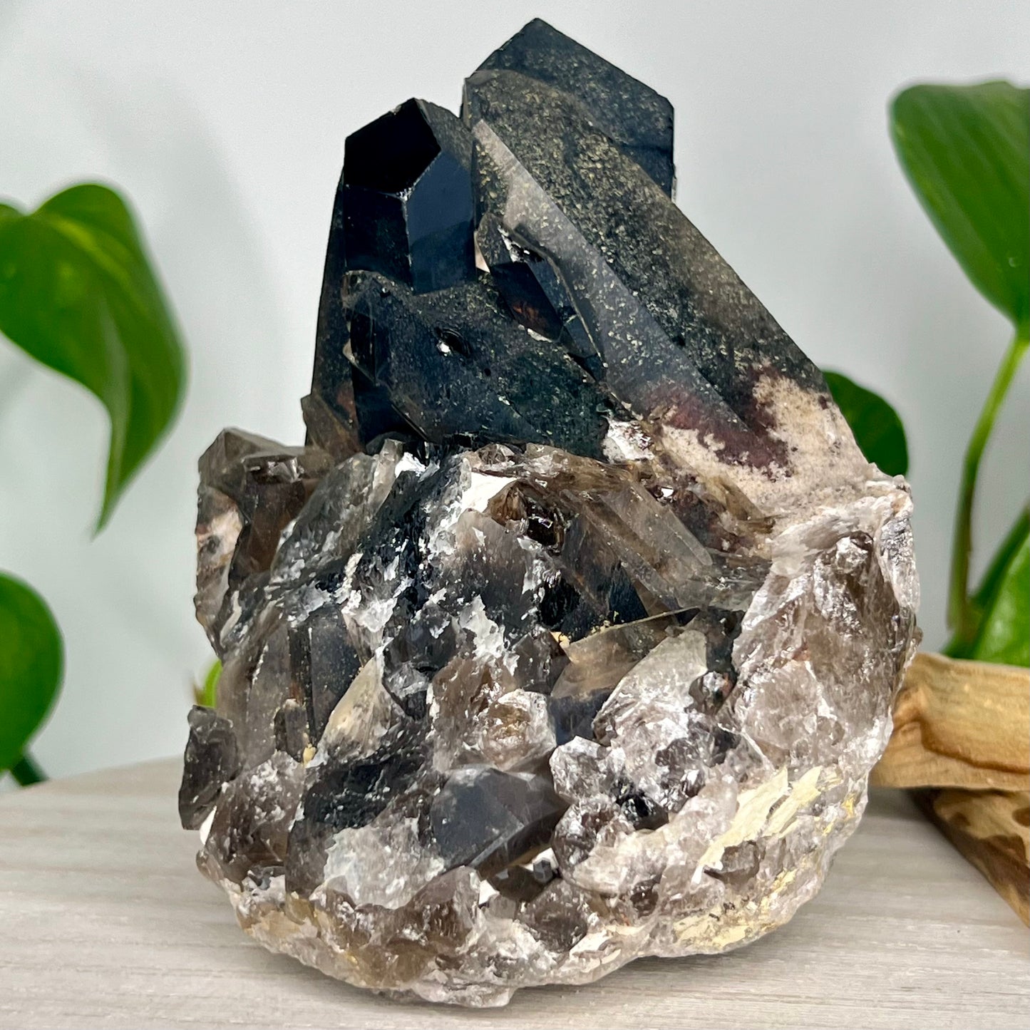 Smokey Quartz // Cluster