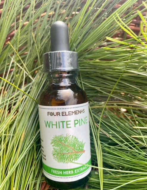 White Pine // Tincture // Four Elements