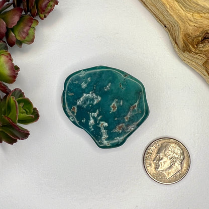 Turquoise // Polished Piece