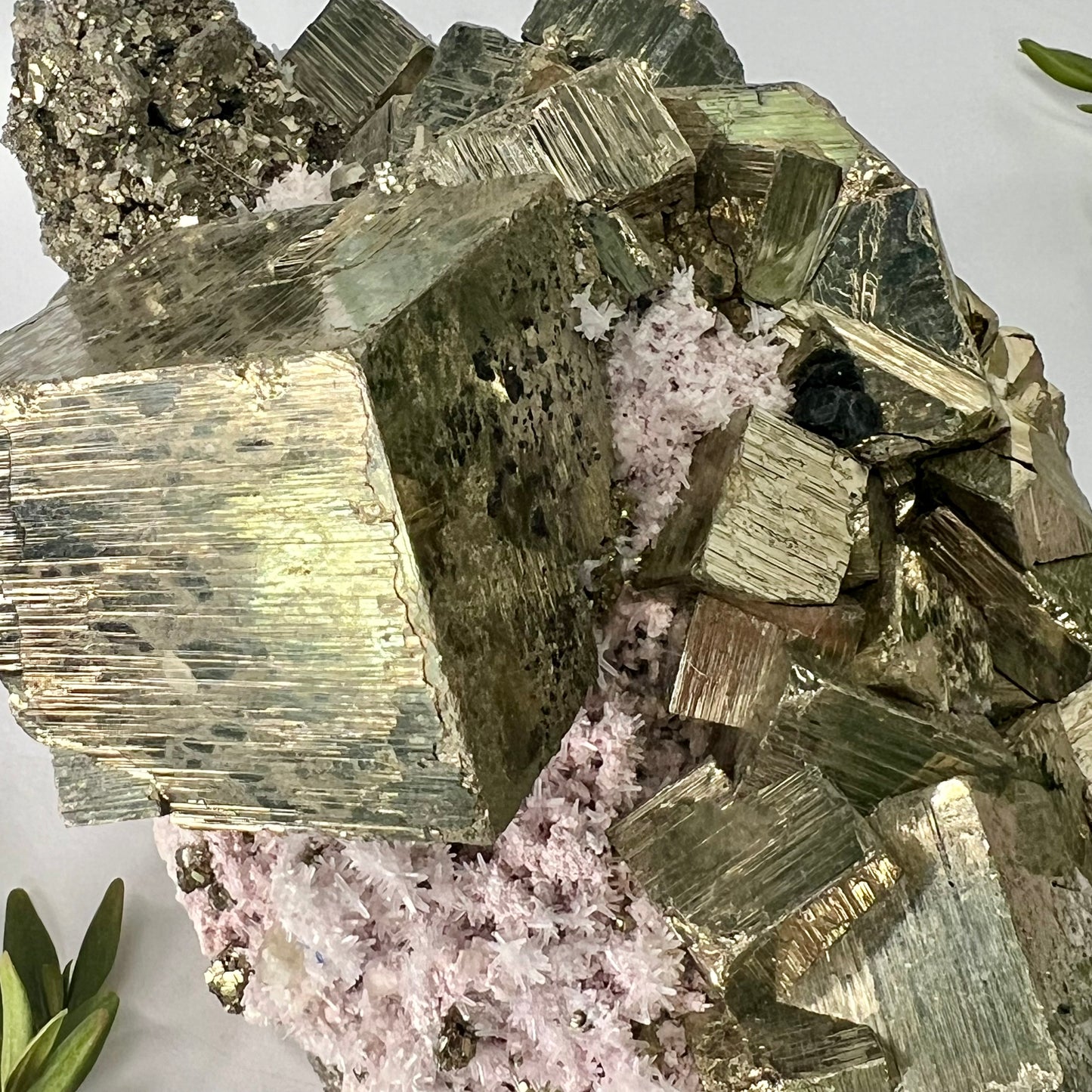 Pyrite // Cluster