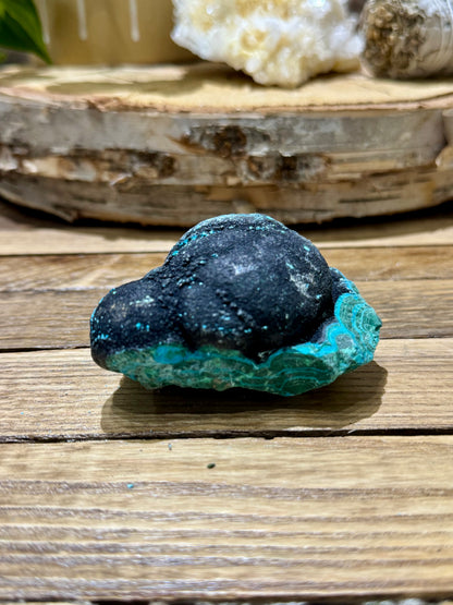 Malacholla // Mineral Specimen // Rough