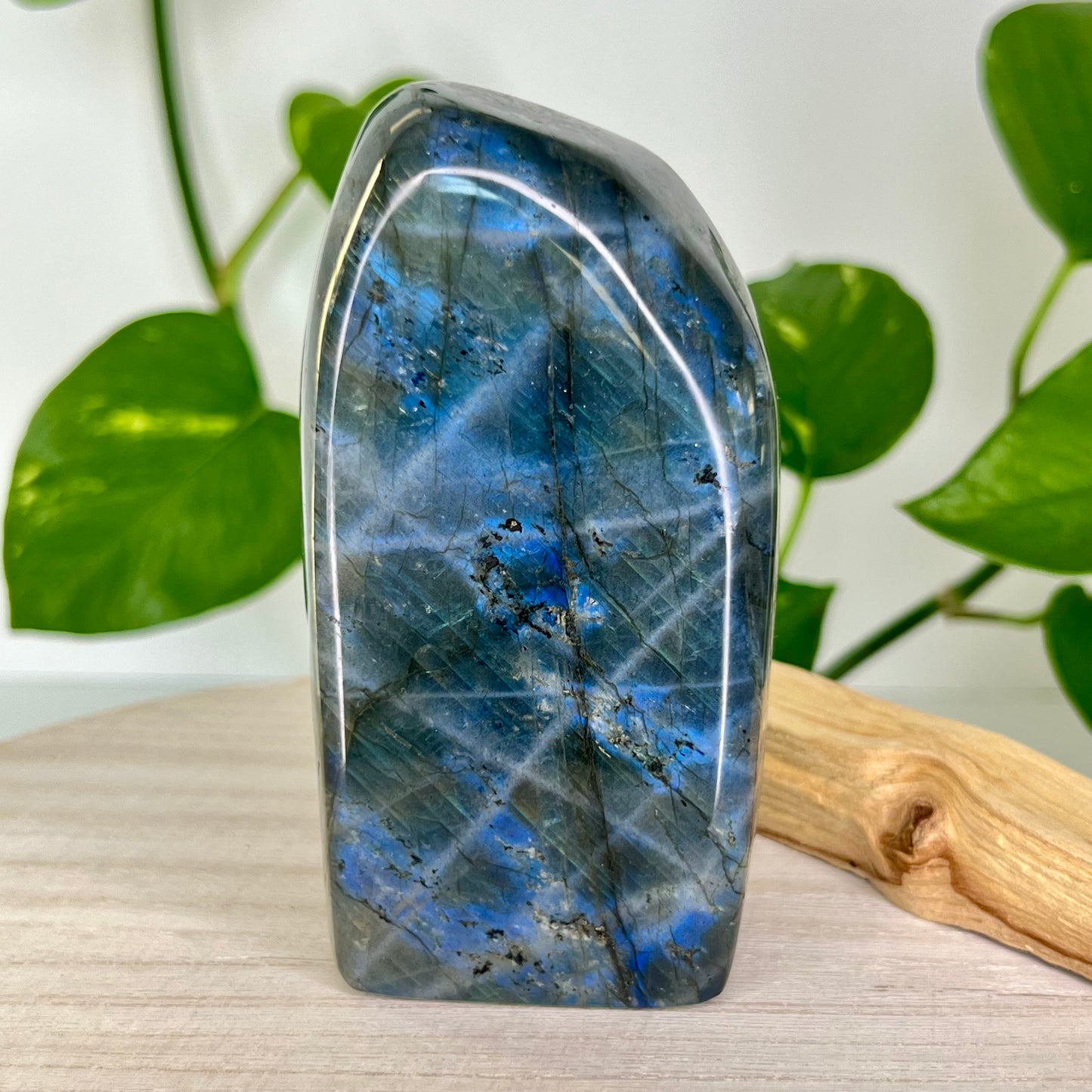 Labradorite // Free Form