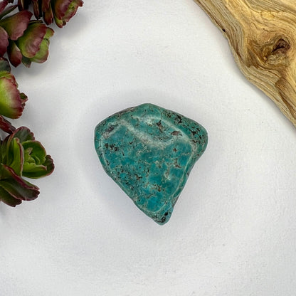 Turquoise // Polished Piece