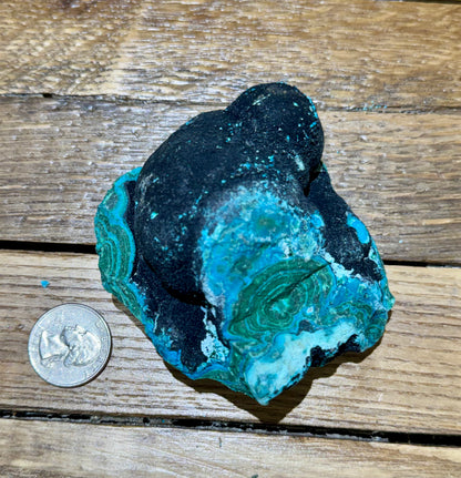 Malacholla // Mineral Specimen // Rough