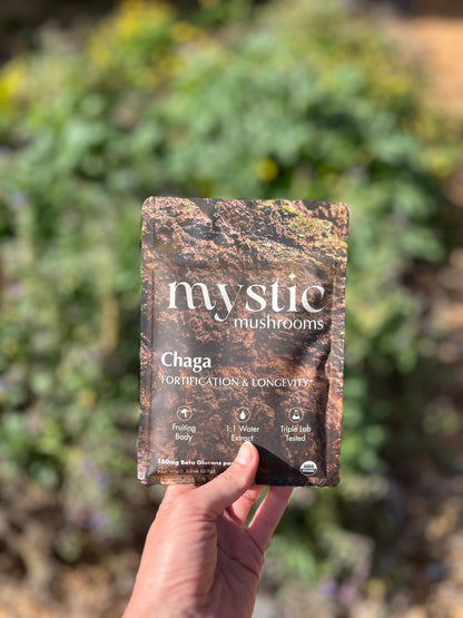 Chaga // Fruiting Body // 1:1 Water Extracted // Organic