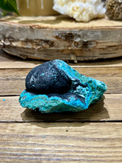 Malacholla // Mineral Specimen // Rough