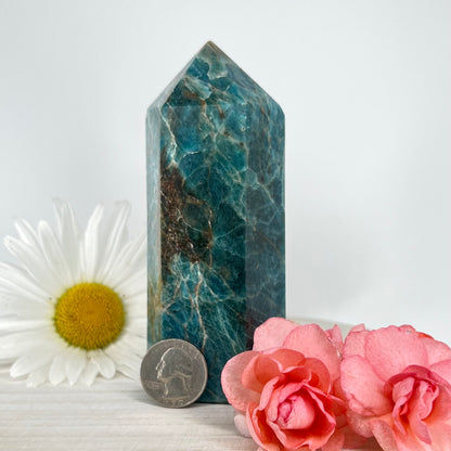 Apatite // Blue // Tower