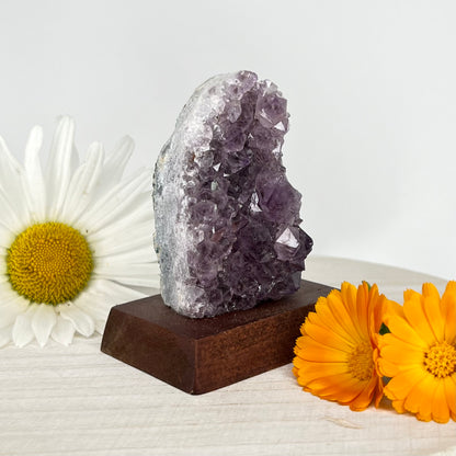 Amethyst // Cluster // Wood Base