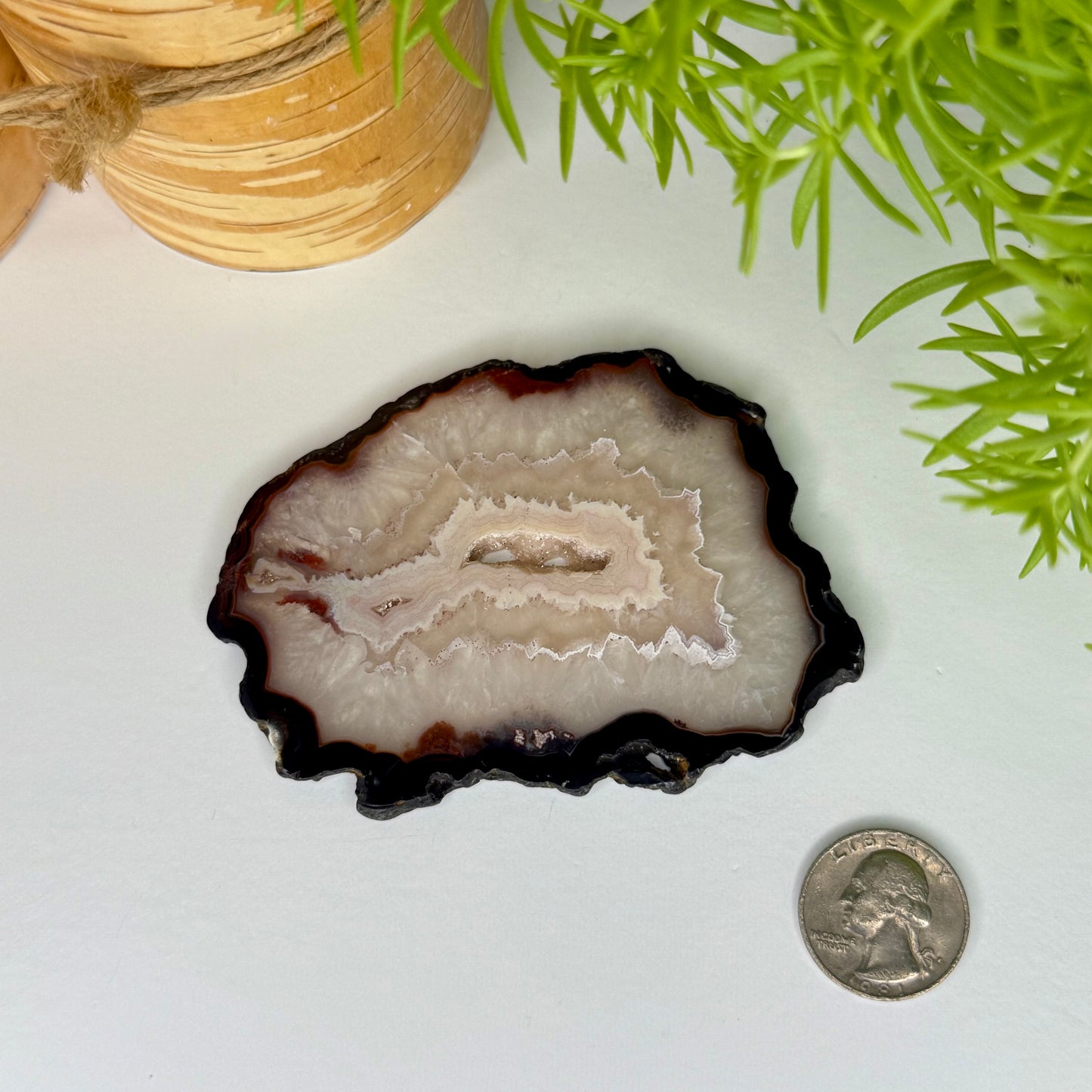 Agate // Slice