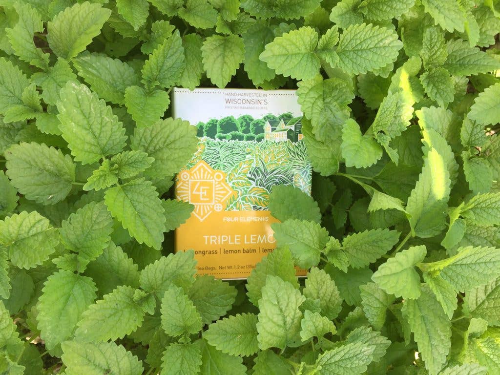 Triple Lemon Tea // Organic // WI Grown - SolRising The Rock Shop
