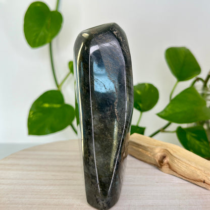 Labradorite // Free Form