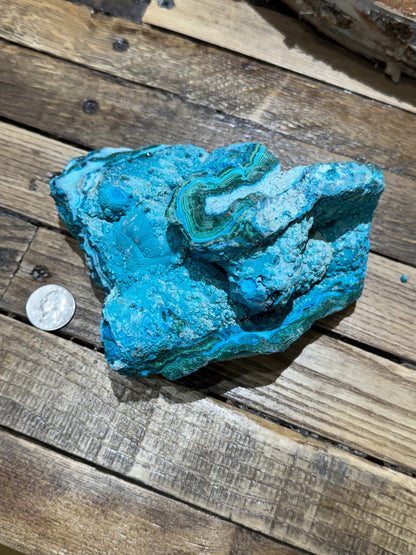 Malacholla // Mineral Specimen // Rough