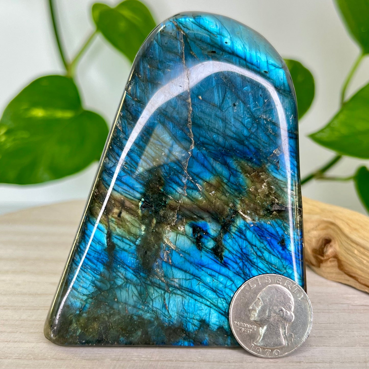 Labradorite // Free Form