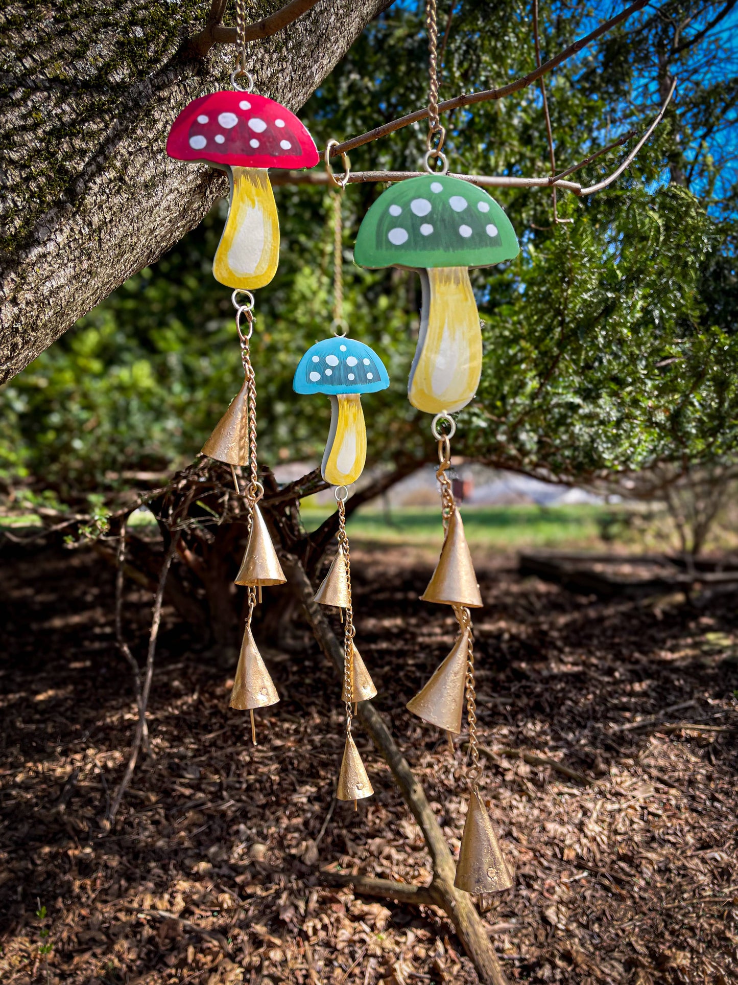 Funky Mushroom Trio // Chimes