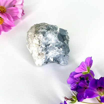 Celestite // Cluster