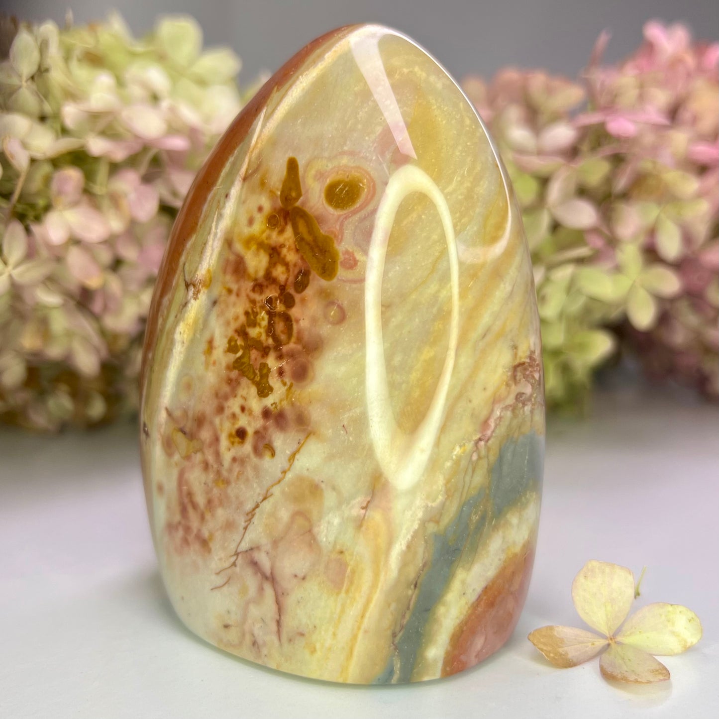 Jasper // Polychrome // Free Form