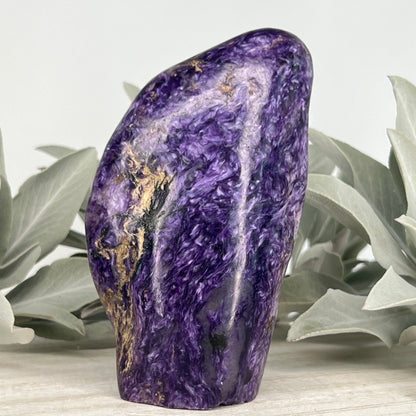 Charoite // Standing Free Forms