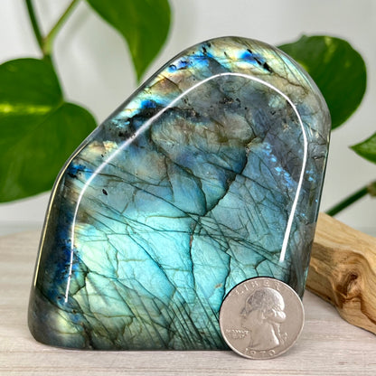 Labradorite // Free Form