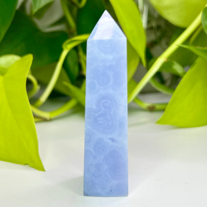 Blue Lace Agate // Tower