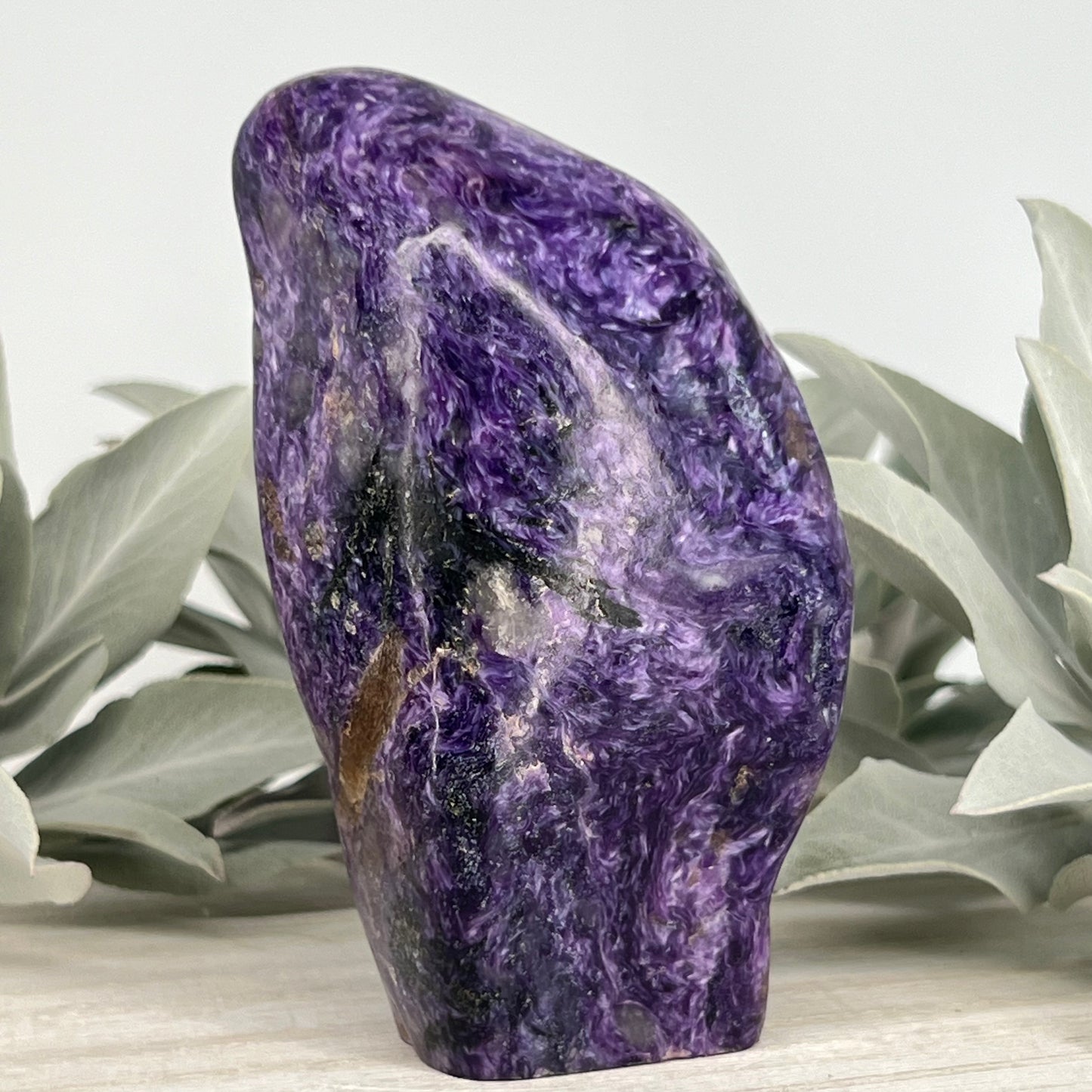 Charoite // Standing Free Forms