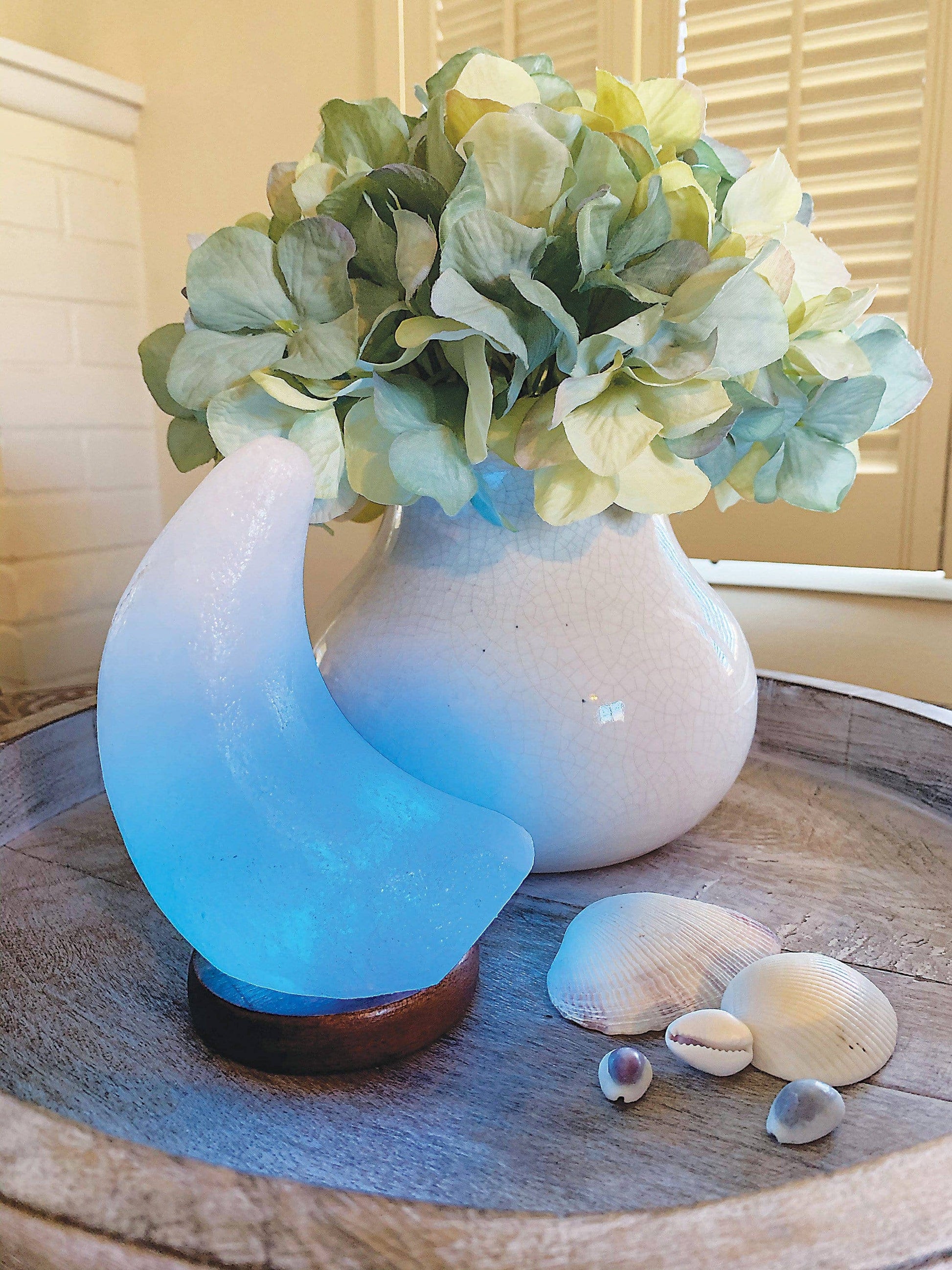 Crystal Himalayan Salt Lamp Moon Light Polished Stone: White Moon - SolRising The Rock Shop
