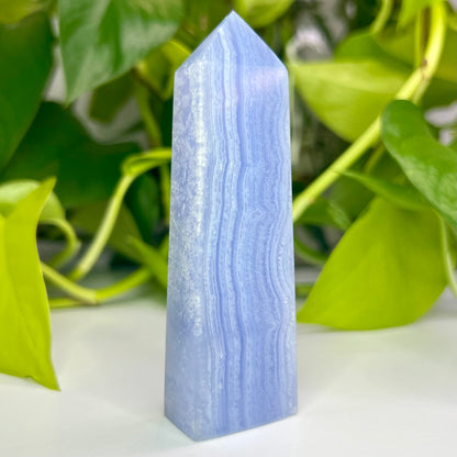 Blue Lace Agate // Tower