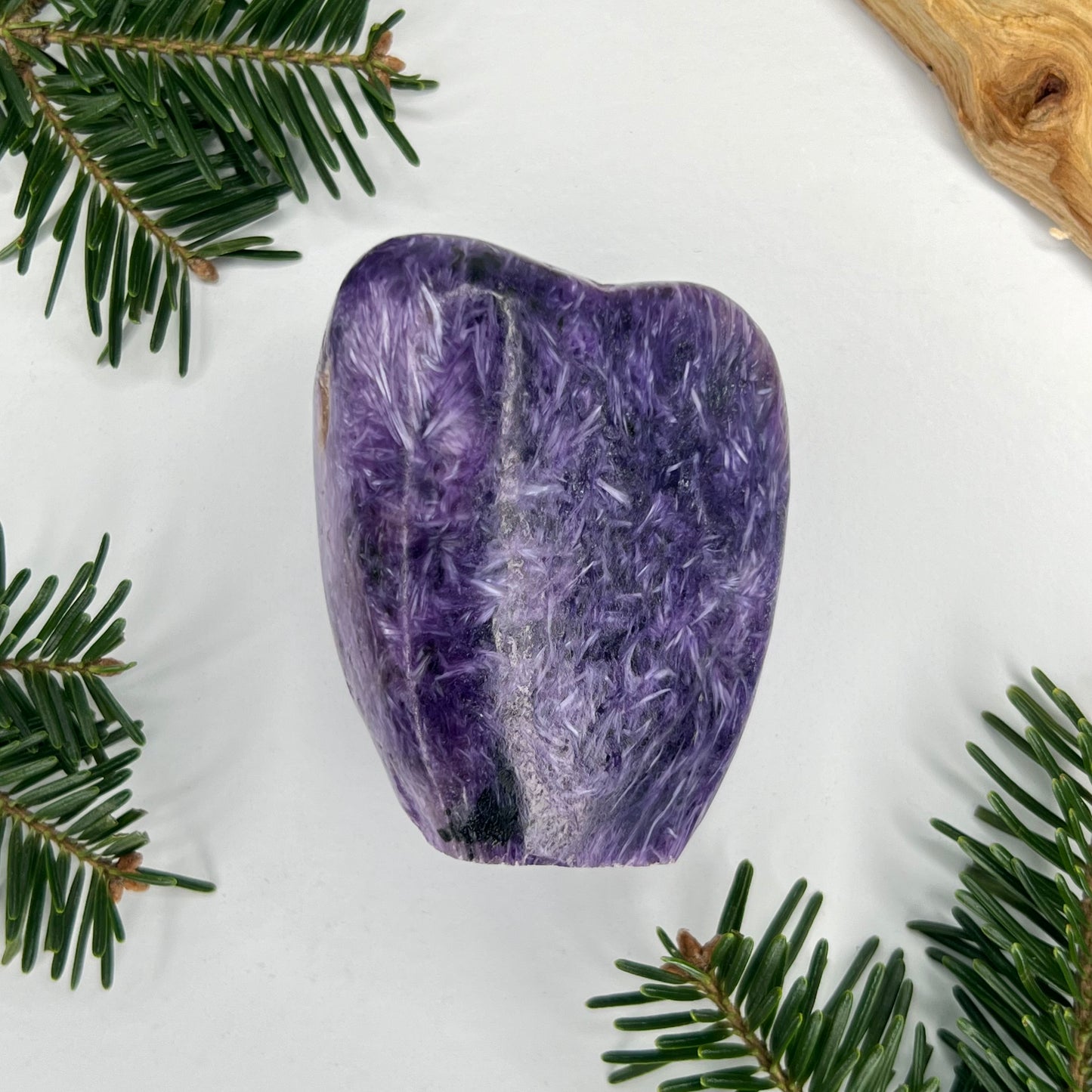 Charoite // Standing Free Forms