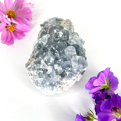 Celestite // Cluster