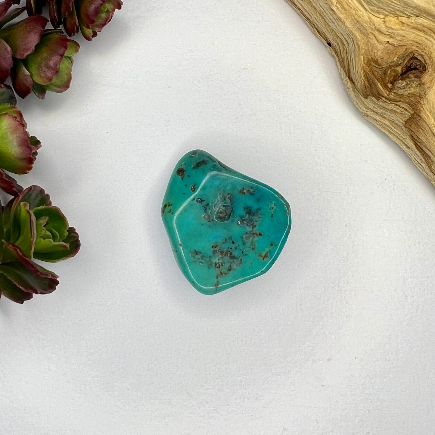 Turquoise // Polished Piece