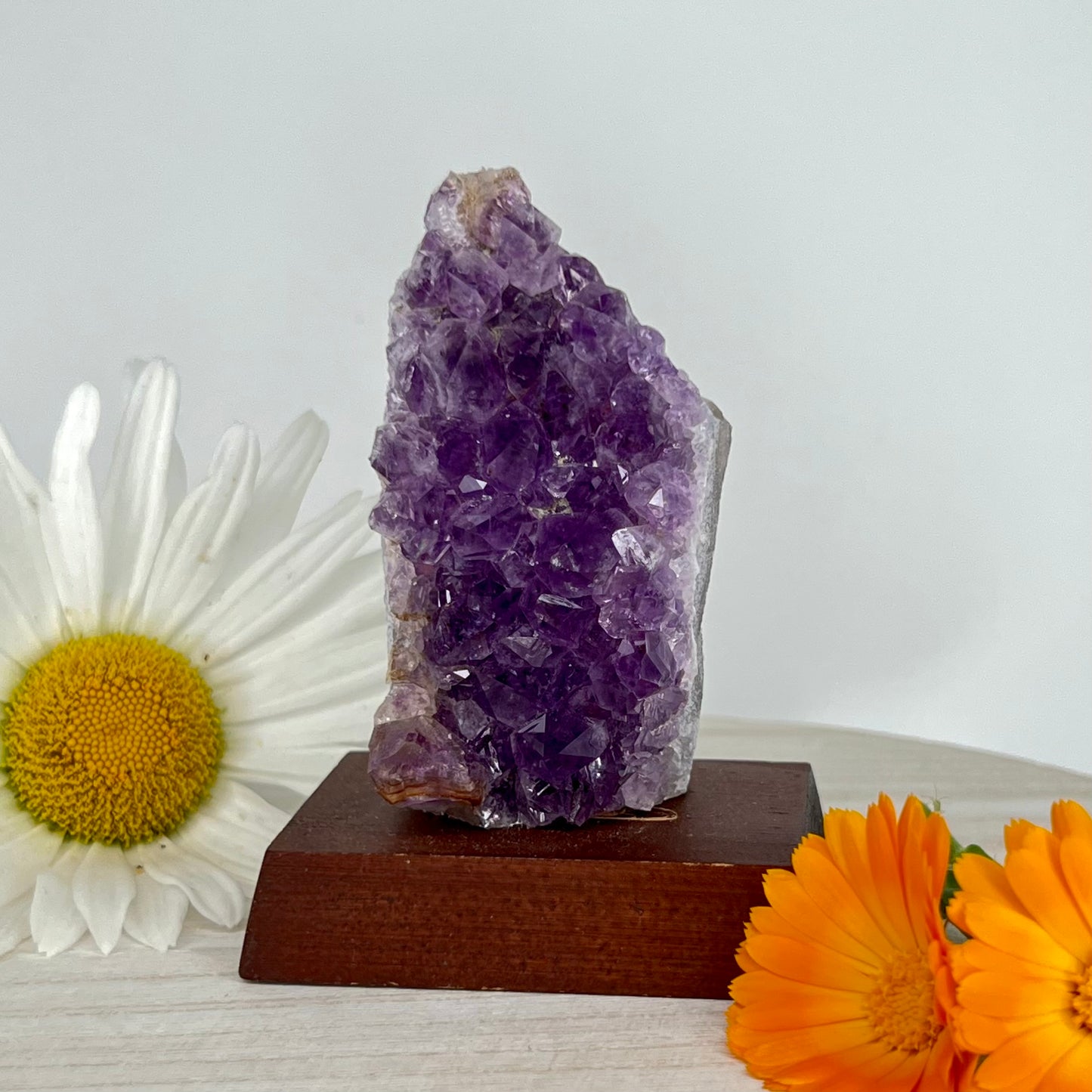 Amethyst // Cluster // Wood Base