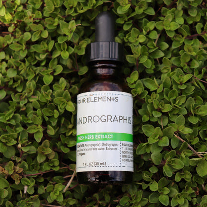 Andrographis Tincture  // 1 oz