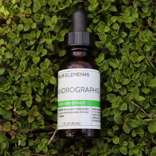 Andrographis Tincture  // 1 oz