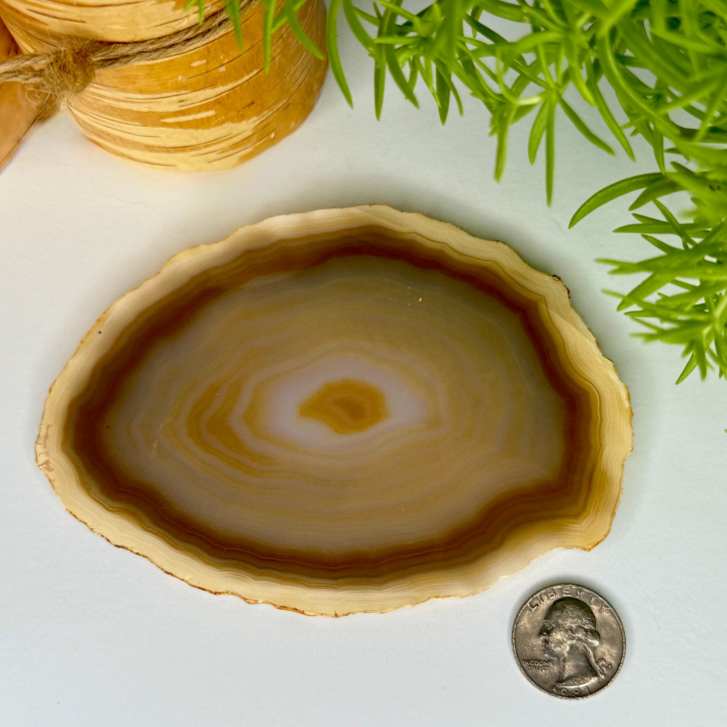 Agate // Slab