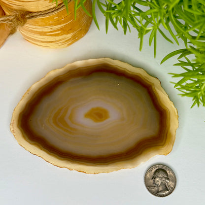 Agate // Slab