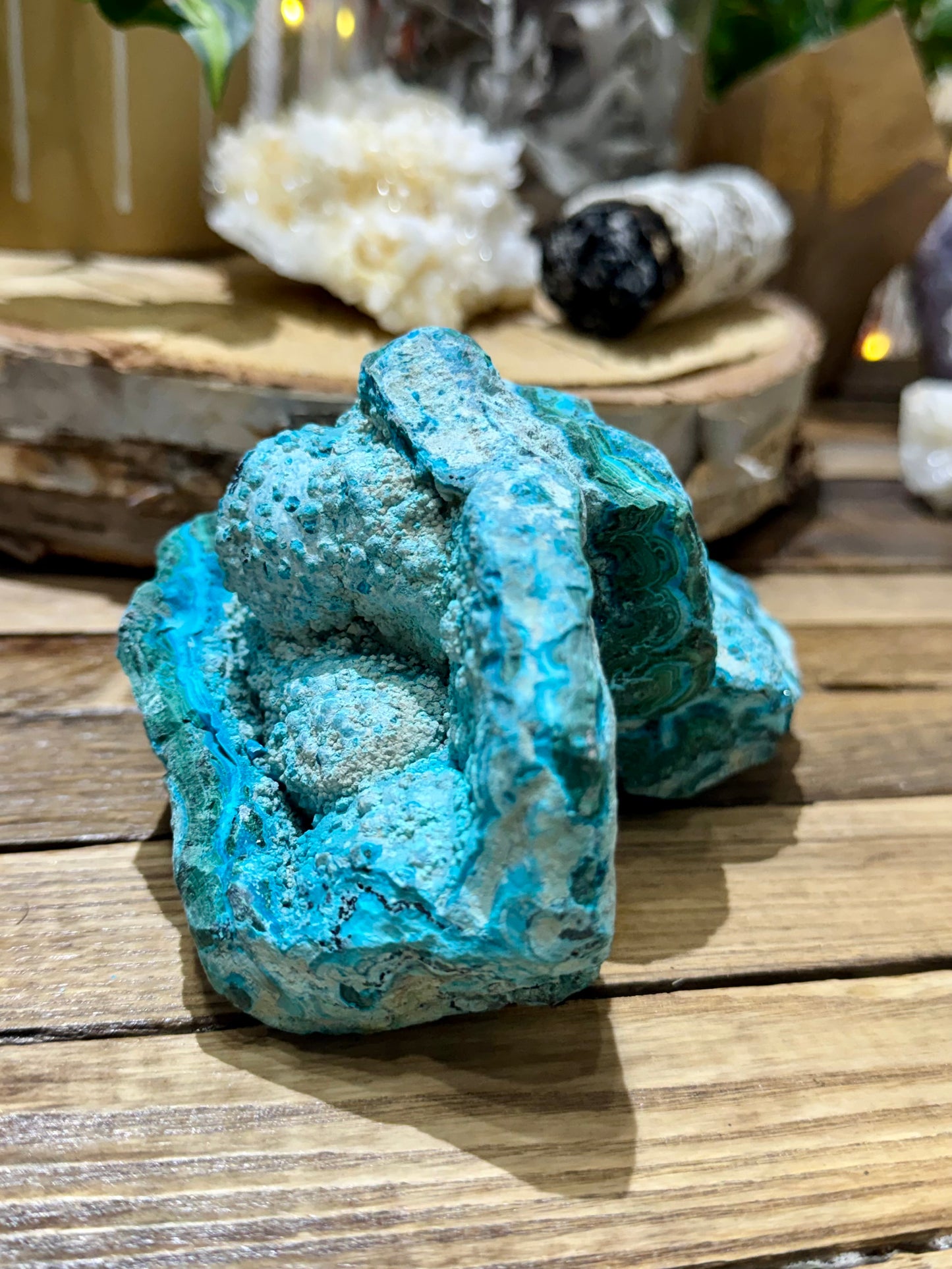 Malacholla // Mineral Specimen // Rough