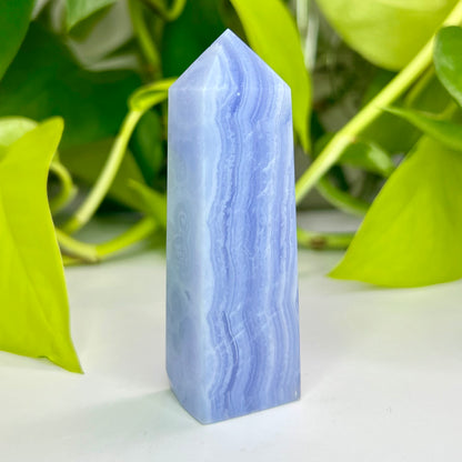 Blue Lace Agate // Tower