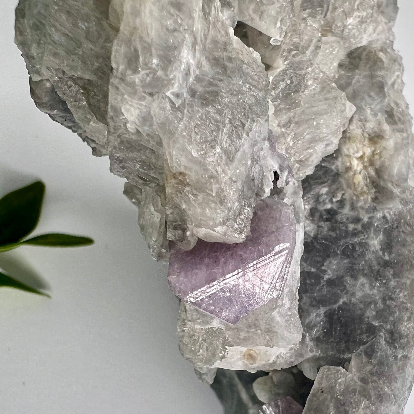 Spinel // Purple // Mineral // Specimen